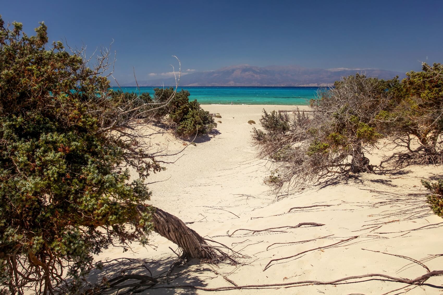 Ierapetra In Crete